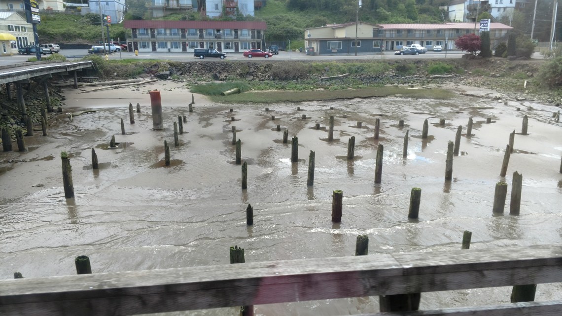 IMG_20170430_140339329