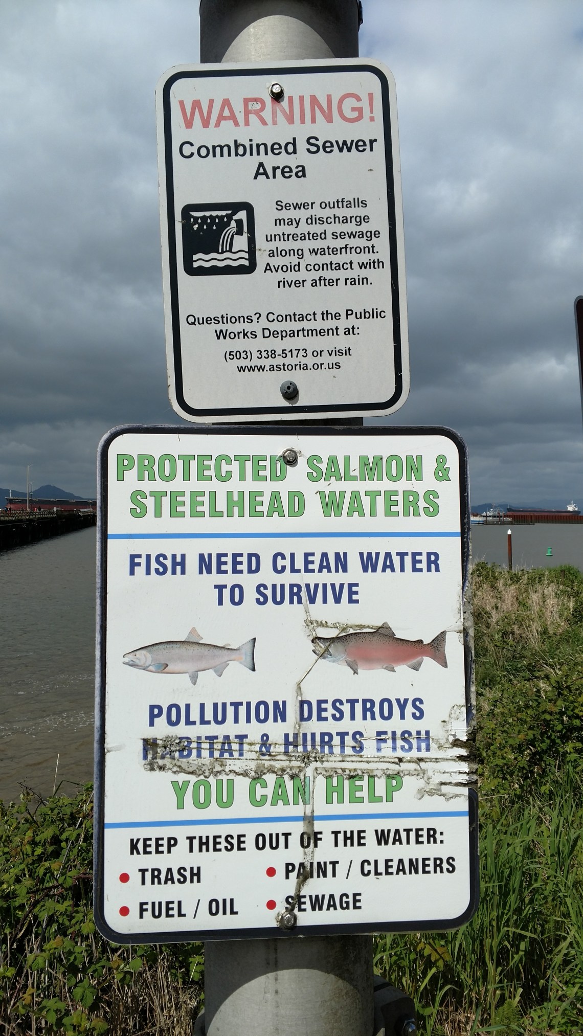 IMG_20170430_145949261